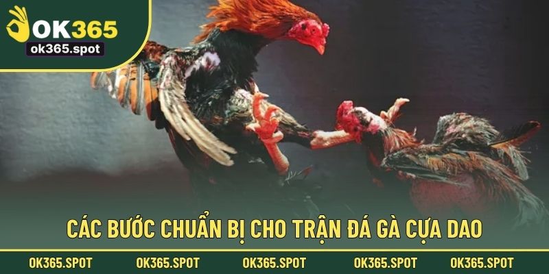 Các bước chuẩn bị cho trận đá gà cựa dao
