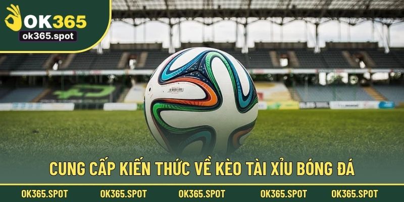 Cung cấp kiến thức về kèo tài xỉu bóng đá