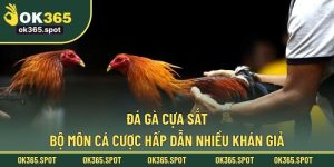 Đá gà cựa sắt