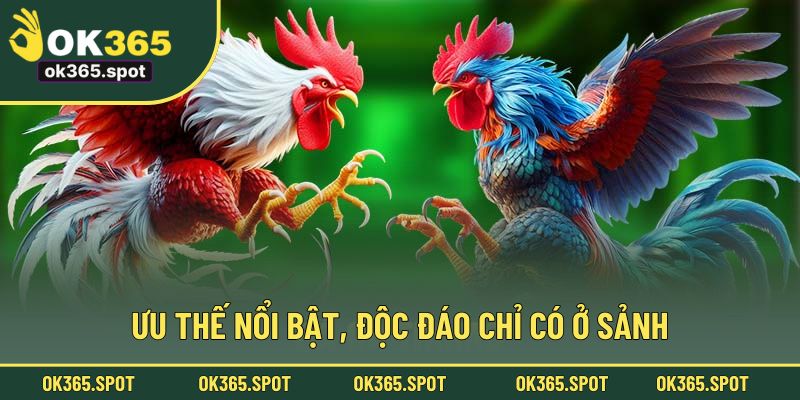 Điểm cuốn hút, độc đáo của sảnh