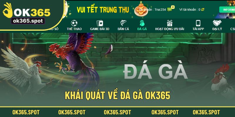 Đôi nét về đá gà OK365