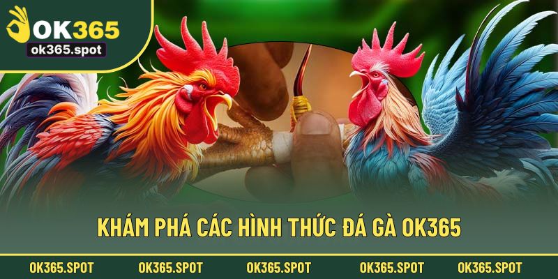 Tổng hợp những kiểu chơi chọi kê cơ bản