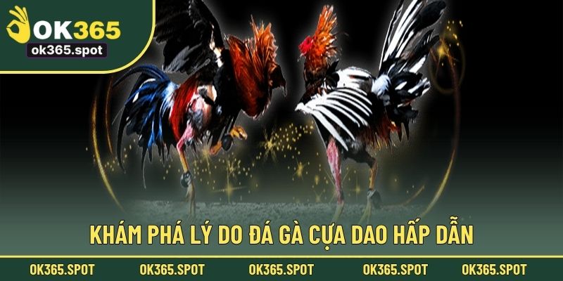 Khám phá lý do đá gà cựa dao hấp dẫn