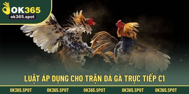 Luật áp dụng cho trận đá gà trực tiếp C1