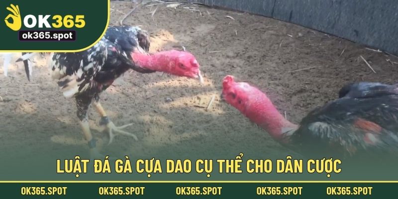 Luật đá gà cựa dao cụ thể cho dân cược