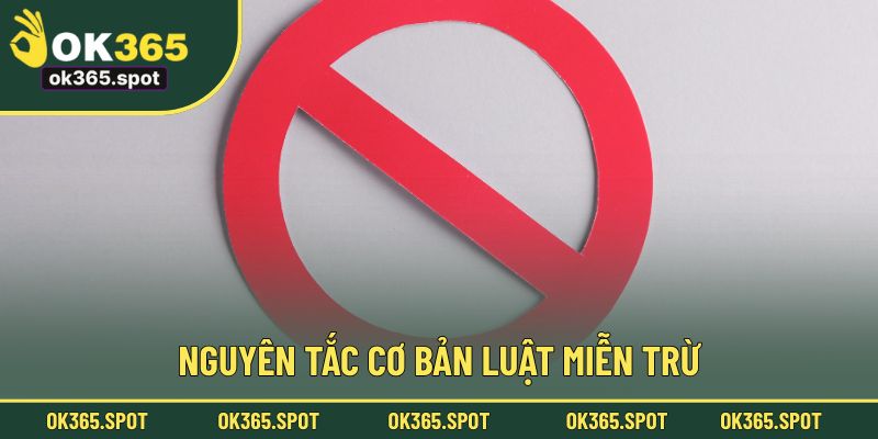 Nguyên tắc cơ bản cần thực hiện theo luật miễn trừ trách nhiệm