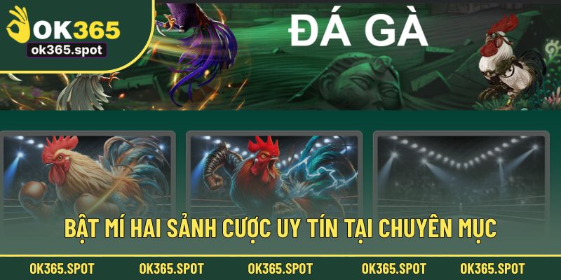 Danh sách hai nhà cung cấp lớn với độ uy tín cao