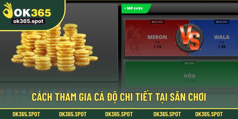 Quy trình cá độ chi tiết, dễ hiểu