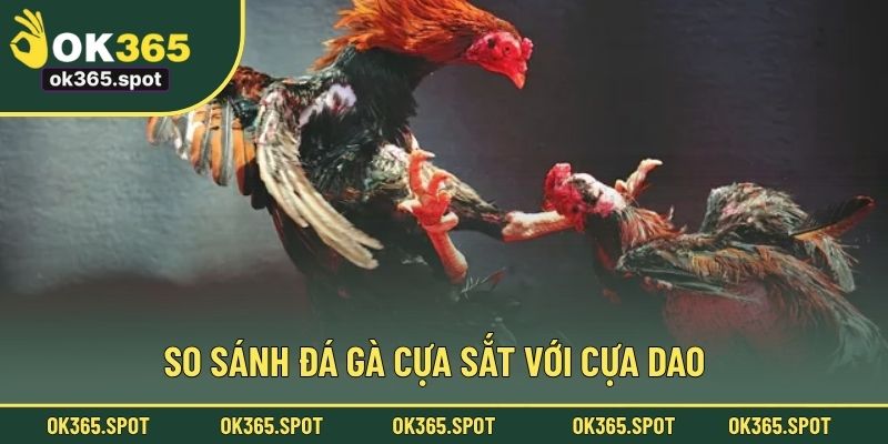 So sánh đá gà cựa sắt với cựa dao