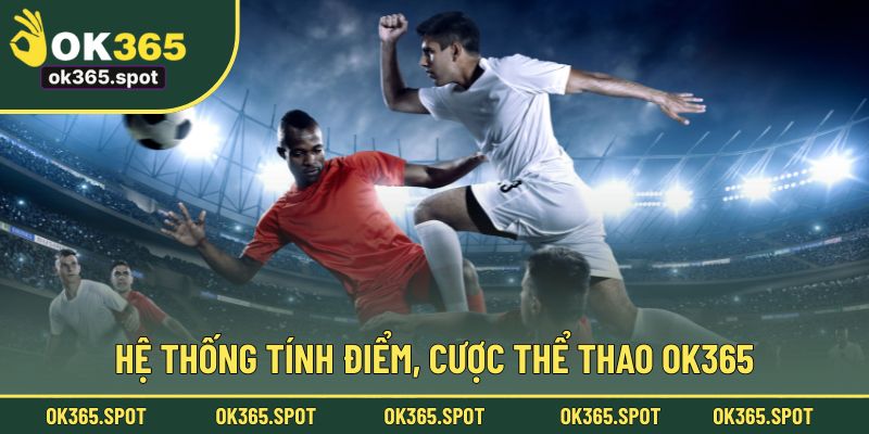 Hệ thống tính điểm, cược thể thao OK365