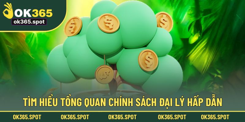 Tìm hiểu tổng quan chính sách Đại lý hấp dẫn